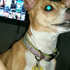 Meet your Posher, Debra